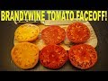 The BEST TASTING Tomato? Brandywine Pink vs Bradywine Yellow vs Brandy Boy