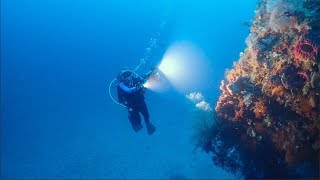 Raja Ampat - Diving the Islands of Misool Ep. 5 | A Diver's Life