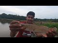 കുറെ നാളുകൾക്കു ശേഷം നീട്ടുവല ഇട്ടപ്പോൾ 🙄 fishing and cooking