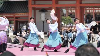 佛教大学よさこいサークル紫踊屋 神宮道スペシャルステージ １日目 第19回京都さくらよさこい 2023