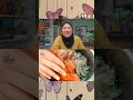 SUSUK GIMBAL{Nadia Omara x hongyu asmr}maaf dah jarang upload