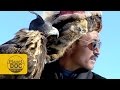 Golden Eagle Hunting. Mongolia | Planet Doc Express