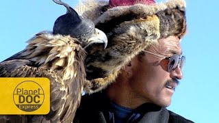 Golden Eagle Hunting. Mongolia | Planet Doc Express