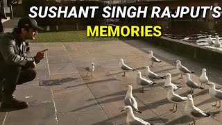 Memories Of Sushant Singh Rajput | Sushant Singh Rajput | The Horizon Of Saudade | By Shrunit |