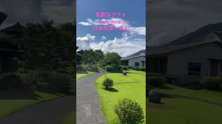 岐阜県の素敵なカフェ「cafe mirai」 #shorts #cafe #岐阜 #関ヶ原 #岐阜グルメ