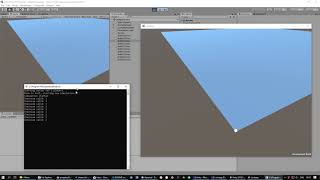 Unity Deterministic Serverbeat