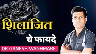 शिलाजीत खाण्याचे फायदे | शिलाजीतचे फायदे,कोणी खावे, कसे खावे | shilajit che fayde marathi