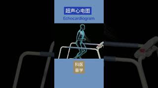 超声心电图 Echocardiogram #echocardiogram