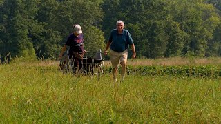 Locals gather extra farm vegetables to donate to food pantries