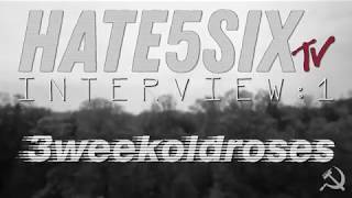 [hate5six-TV] 3weekoldroses (Interview #1)