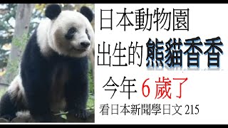 東京上野動物園  大熊貓香香今年6歲了 ....(215)簡單日語新聞)