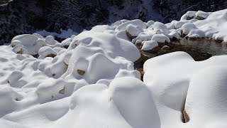 御在所岳 裏道、新雪キュッキュ♪強風撤退！