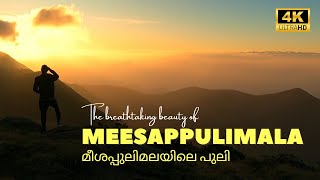 Meesappulimala | മീശപ്പുലിമല | South India's highest trekking destination | A Travel Guide