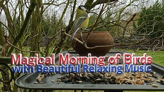 Magical Morning of Birds with Beautiful Relaxing Music