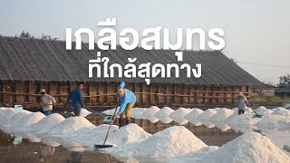 สารคดีของดีประเทศไทย ตอน เกลือสมุทร ที่ใกล้สุดทาง