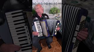 Weltmeister accordion, 3/4 accordion, 80 Bass, 34 keys, 3 voices, 5 registers, Concertina, ON SALE