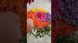 Onam  pookalam l day 8 l pooradam 💐🌸💮🏵🌹🌺🌻🌼