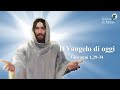 Il Vangelo di oggi Martedì 3 Gennaio Giovanni 1,29-34 - Commento di Papa Francesco.