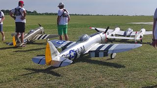 Warbirds Bobrowniki 2022