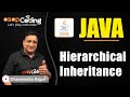 Hierarchical Inheritance in Java | Java Inheritance | Java For Beginners | Java #Lec78 #coding
