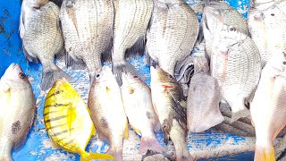 hari yang beruntung bagi pemancing pemula