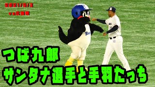 つば九郎　サンタナ選手と手羽たっち　2021/9/3　vs広島カープ