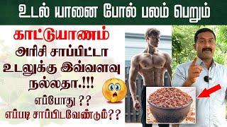 💪உடல் யானை போல் பலம் பெறும்😮  காட்டுயாணம் அரிசி சாப்பிட்டா உடலுக்கு இவ்வளவு நல்லதா .!!