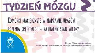 „Komórki macierzyste w naprawie urazów rdzenia kręgowego - aktualny stan wiedzy”