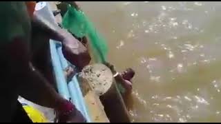 Palimar Karnire Shambhavi river Dam cast net fishing