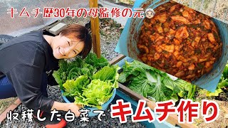 [Kimchi making] Make kimchi with harvested Chinese cabbage 🌶️