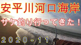 【鮭釣り】安平川河口海岸で鮭釣りにチャレンジ！