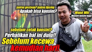 apakah lovebird jantan gestang dan lipsing bisa di cetak konslet