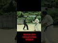 bruce lee s devastating speed in slow motion the way of the dragon shorts edit