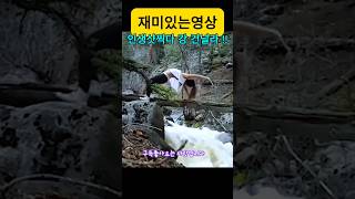 아이고! 재미가 넘치네~~ㅎㅎ #재미있는영상 #재미있는동영상 #funny #funnyvideo