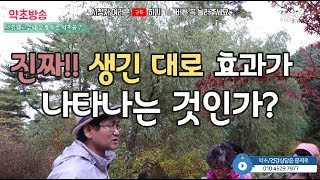 버드나무에서 배우는 약초의 효능[약초방송]