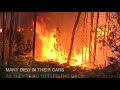 portugal in mourning as over 60 people killed in raging forest fires daily mail