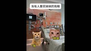 当有人要买她拖鞋#有趣 #故事 #貓 #猫猫meme小剧场 #猫meme #内容过于真实 #猫meme小剧场 #猫meme剧场 #喵不可言 #shorts