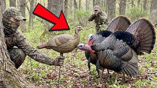 I Sucked at Turkey Hunting Until a 79-Year-Old Showed Me This — 4X More Gobblers Instantly