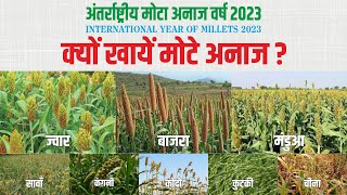 Kyu Khaye Mota Anaj. क्यों लोकप्रिय हो रहे हैं  मोटे अनाज? International Year of Millets 2023 #hindi