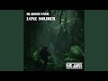 Lone Soldier