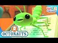 @Octonauts - Helping Our Friends | Compilation | Wizz Cartoons