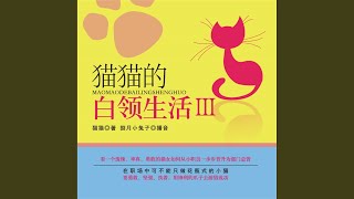 47.7 - 猫猫的白领生活Ⅲ