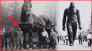 🔴Shocking Photos Of Giant Objects You Won’t Believe Actually Exist