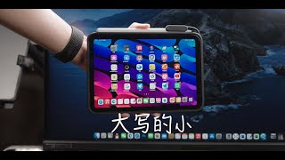 iPad mini6使用体验分享：小屏的诱惑，mini6真的好用吗？【菜如哈士奇】