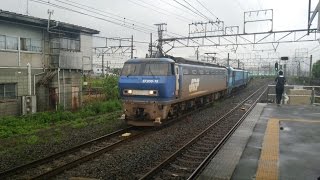 EF200-15+EH200-901牽引91レ　新川崎駅通過