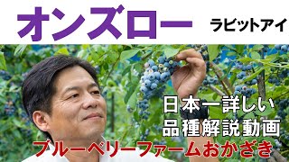 【オンズロー】品種解説動画