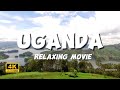 UGANDA 4k | wildlife relaxing movie with soothing music