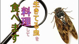 生きた虫を料理して食べた!!【閲覧注意】#22