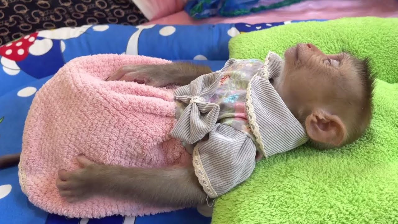 Very Good Baby Sleeping When Mom Kissing Youtube