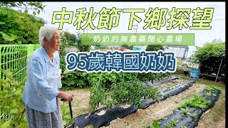 韓國中秋節探望95高齡韓國奶奶/奶奶親自打造開心農場應該就是健康的祕訣吧/公公帶路前往大推的隱藏鄉村內的美食店/韓國人妻日常/